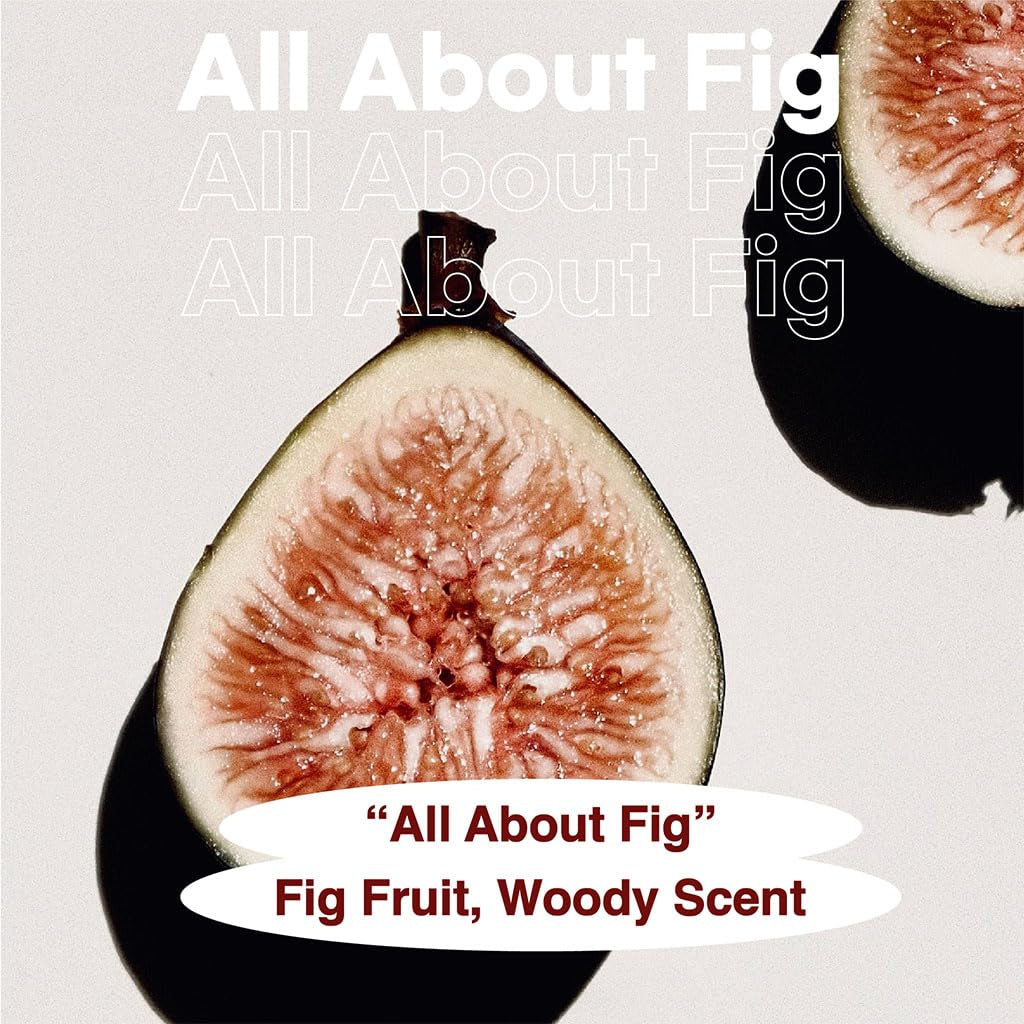 Liquid Hand Soap with Dispenser for Kitchen and Bathroom, Nourishing for Dry Skin, Hand Ritual, Luxury Hand Wash Perfumed with Fig Fruit Woody Scent, Christmas Gift, 10.1 Fl. Oz