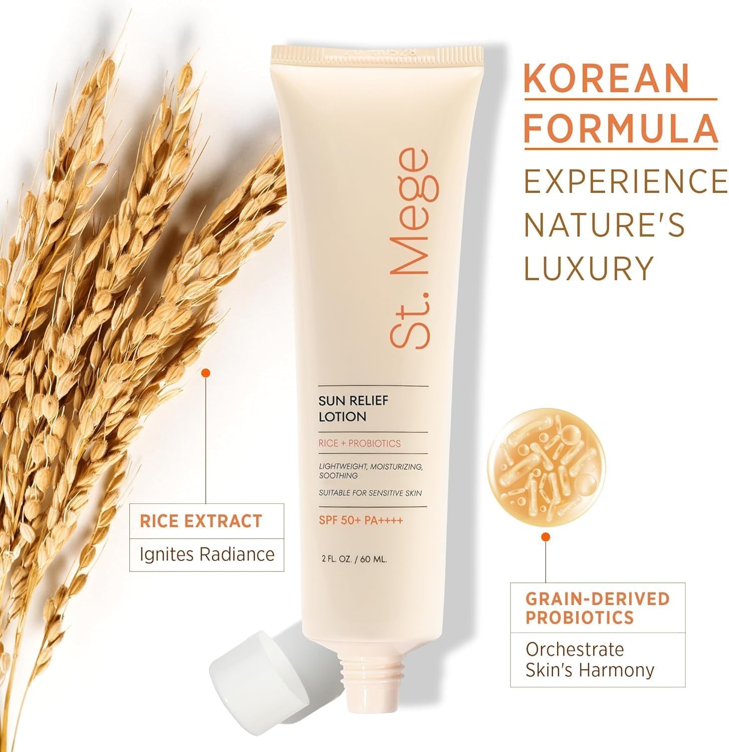 Rice Korean Lightweight Sunscreen - Daily 50+ PA++++ Travel Size Sunscreen Lotion - Reef Safe, No White Cast, 2 OZ