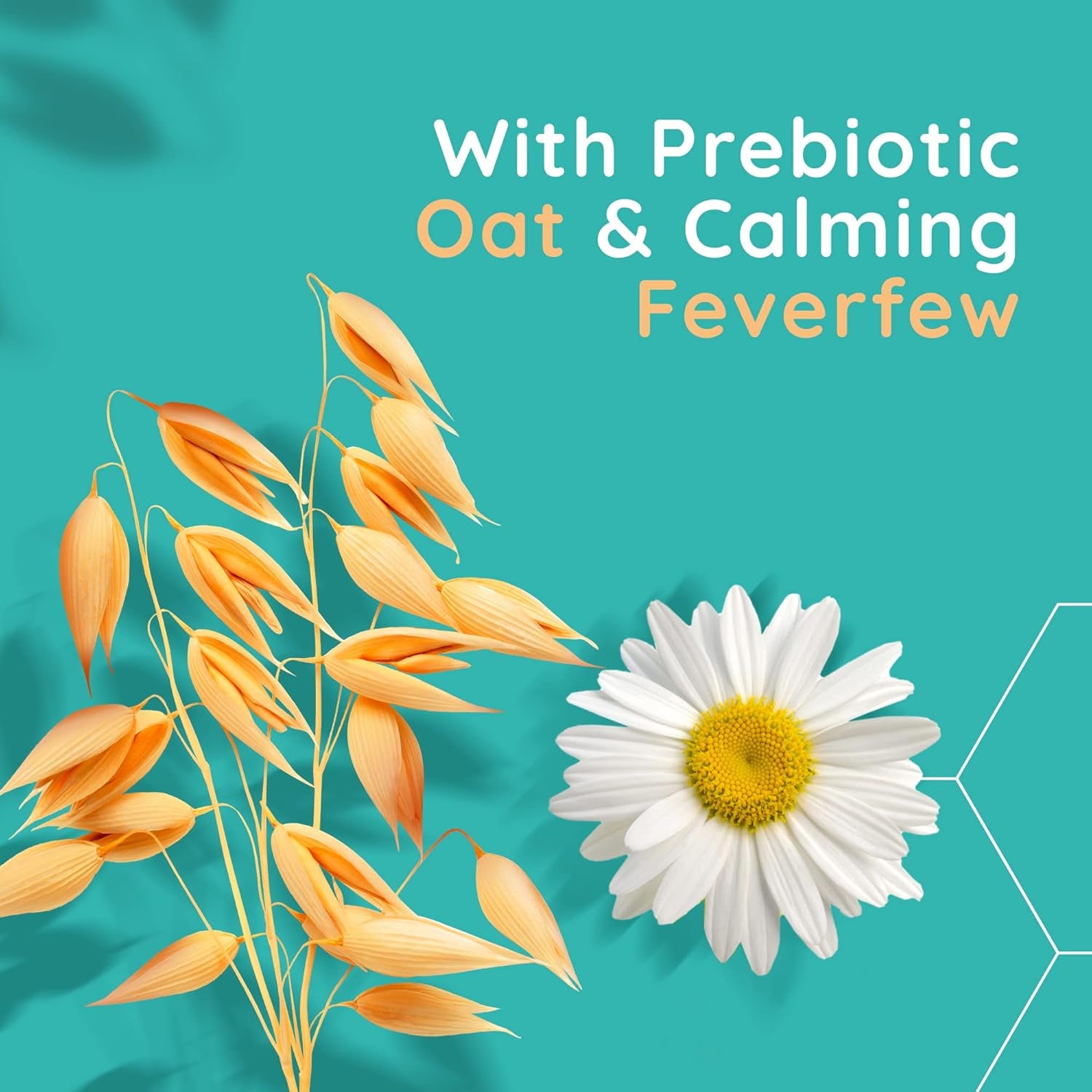 Face Calm+Restore Soothing Oat Toning Lotion (1 X 200Ml), Fragrance-Free Face Care with Prebiotic Oat & Calming Feverfew, Leaves Skin Ultra Refreshed, Suitable for Sensitive Skin