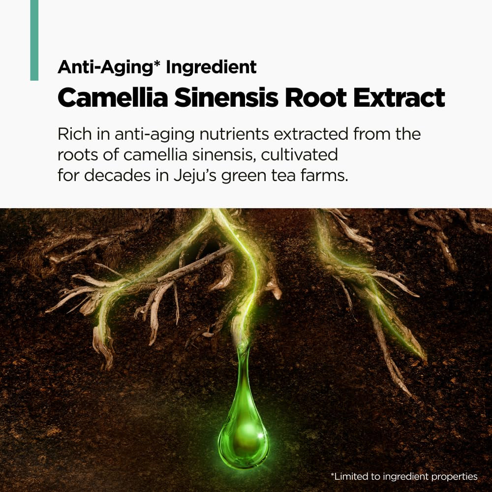 Green Tea Active Shampoo L Anti-Aging for Fine, Thinning Hair | Protects Scalp & Volumizing Hair | Clinically Proven, 16.9 Fl.Oz