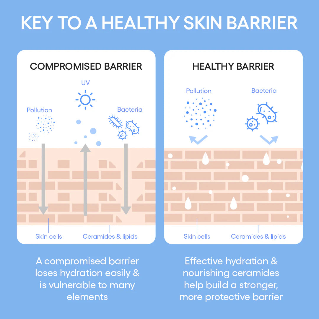 Cream Skin Toner & Moisturizer