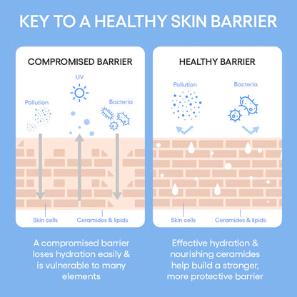 Cream Skin Toner & Moisturizer