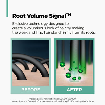 Green Tea Active Shampoo L Anti-Aging for Fine, Thinning Hair | Protects Scalp & Volumizing Hair | Clinically Proven, 16.9 Fl.Oz