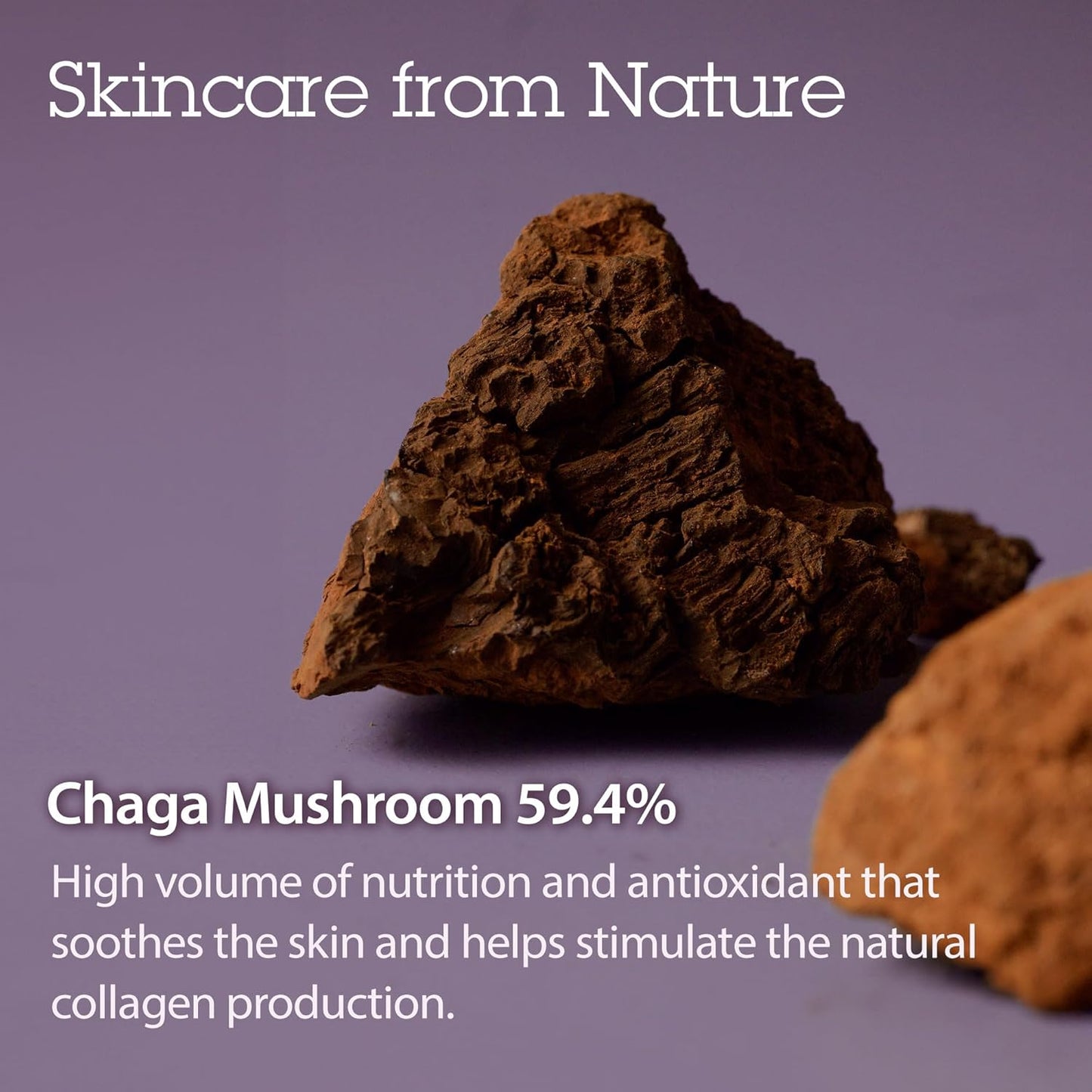 Revitalize Your Skin with Pressed Serum Tundra Chaga - Anti-Aging Cream for Intense Hydration and Firmness (50 ml)
