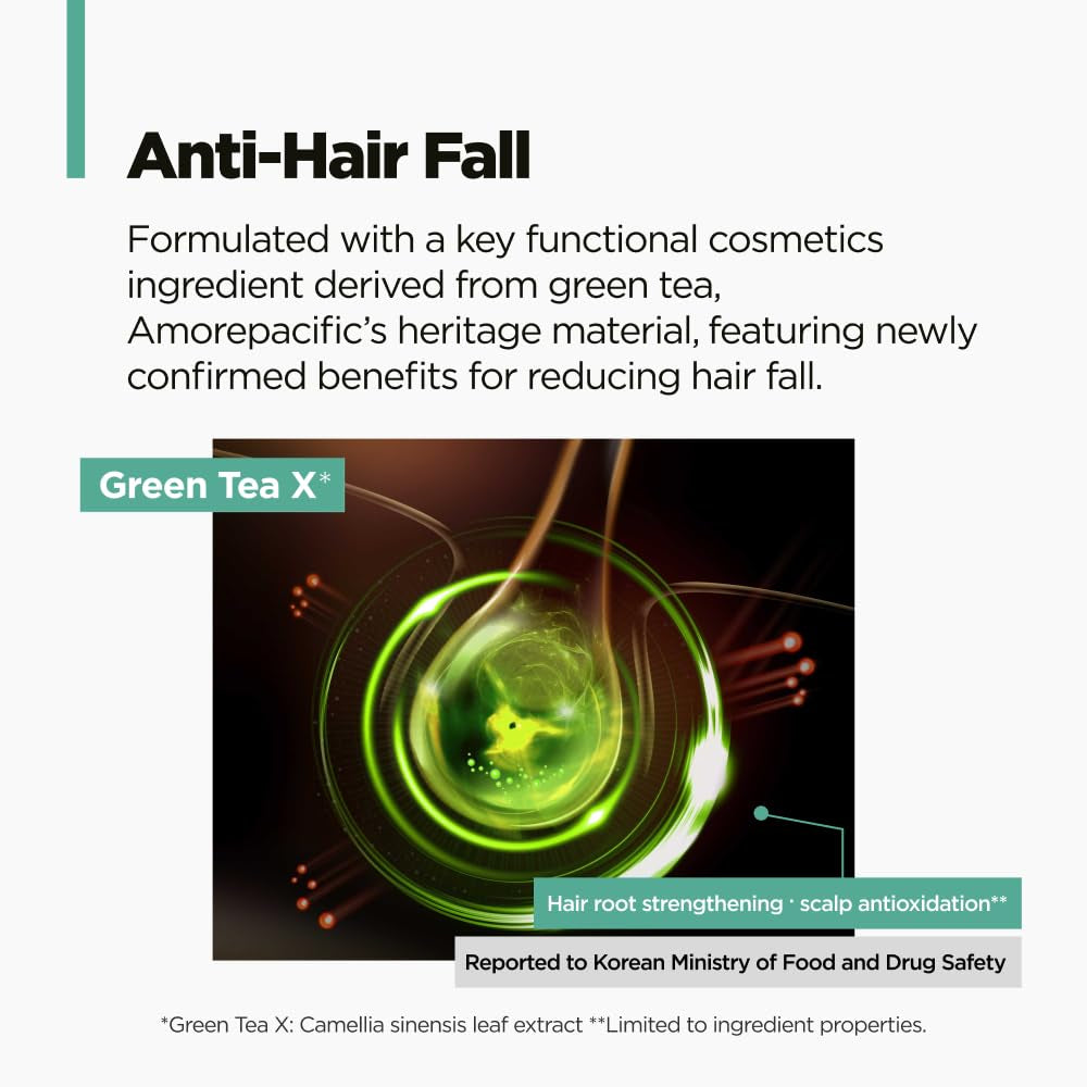 Green Tea Active Shampoo L Anti-Aging for Fine, Thinning Hair | Protects Scalp & Volumizing Hair | Clinically Proven, 16.9 Fl.Oz